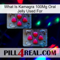 What Is Kamagra 100Mg Oral Jelly Used For 14